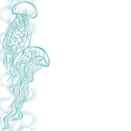 Qualle. Vektor Medusen, dekorative Wellen, Platz für Text auf weiß