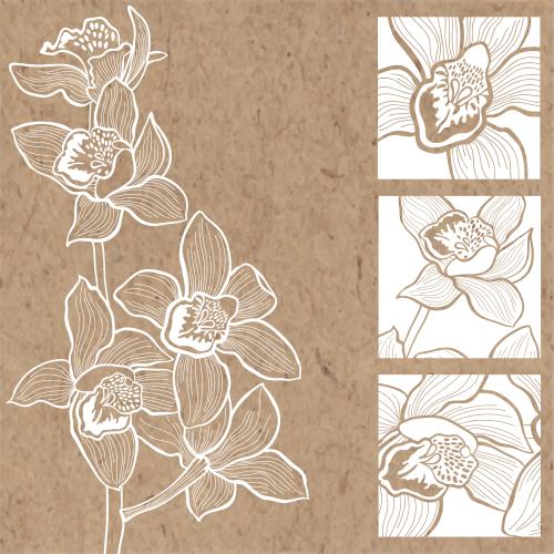 Vektorgrafik blühende orchideenzweig und drei quadrate mit blumenstücken auf karte