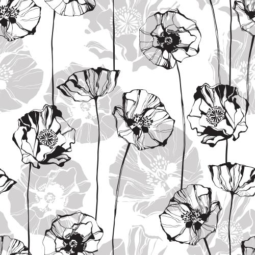 Mohn. Vektor monochromen Mohnblumen, Konturen und Silhouetten auf weißem