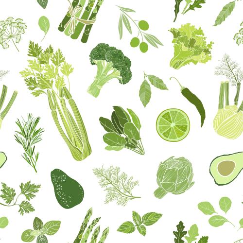 Vektorgrafik grünes gemüse und küchenkräuter: sellerie, brokkoli, avocado, pfeffer, artischocke, fenchel, rosmarin, basilikum, dill, petersilie, salat, oliven, spinat, lorbeerblatt, limette, rucola auf weißem