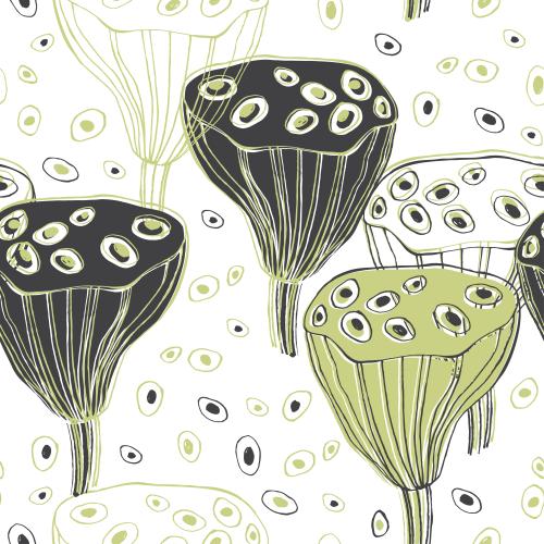 Lotus. Vektor Lotus-Korbbüchsen, Nelumbo, Konturen Und Silhouetten, Dekorative Elemente Auf Weiß