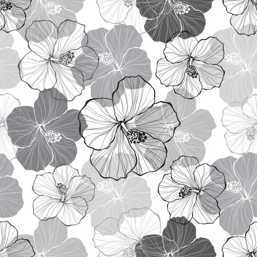 Hibiskus. Vektor Hibiskusblüten, monochrome Silhouetten und Konturen auf weißem