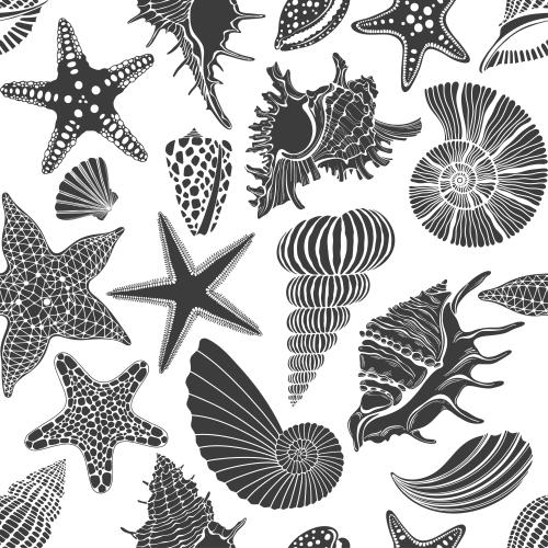 Nautilus. Vektor meersterne und muscheln schwarze silhouetten auf weiss