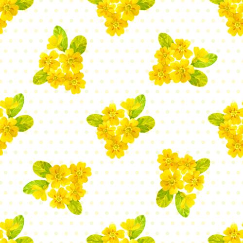 Rasterbild primel, aquarellblumen auf weißem karomuster