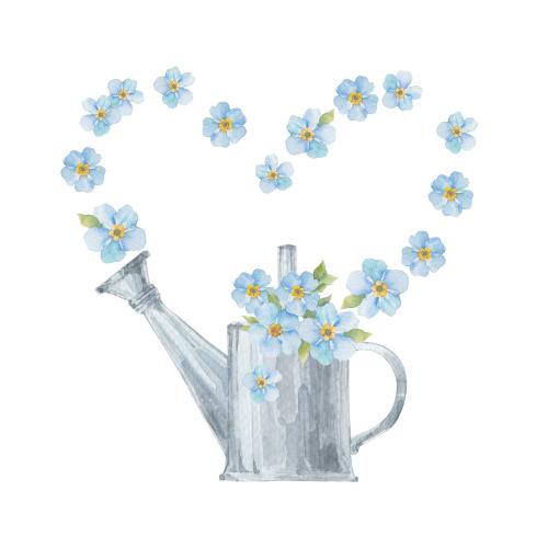 Vergissmeinnicht. Vektor Aquarell-Vergissmeinnicht in der Gießkanne, Blumen in Herzform auf weiß