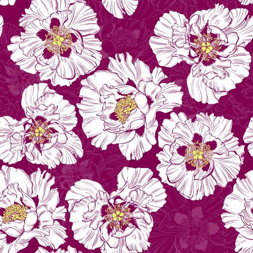 Vektorgrafik pfingstrosen konturen und silhouetten von blumen auf buntem