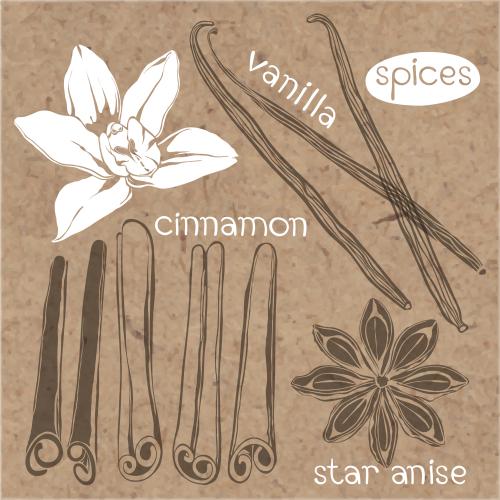 Zimt. Vektor Vanilleblüte, Vanillestangen und Zimtstangen, Anisstern auf Kraft