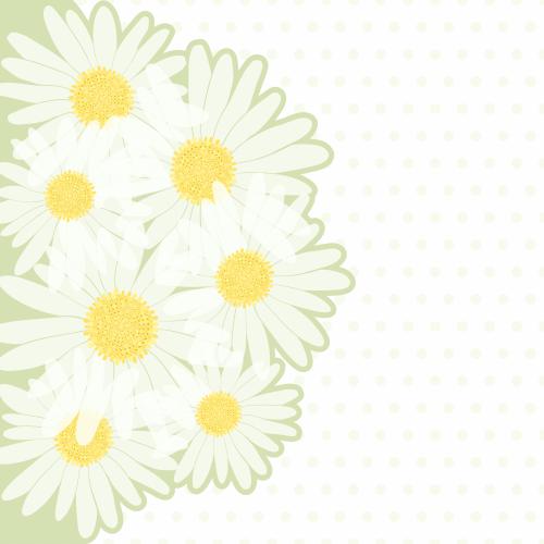 Vektorgrafik chamomillenbouquet auf hellem karomuster und platz für text