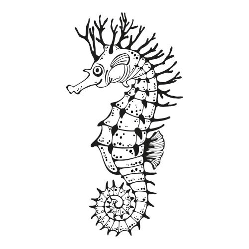 Vektorgrafik seepferdchen auf weissem
