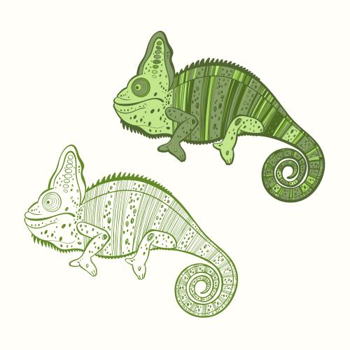 Chamäleon. Vektor Chameleons, zwei verschiedene Varianten auf weißem