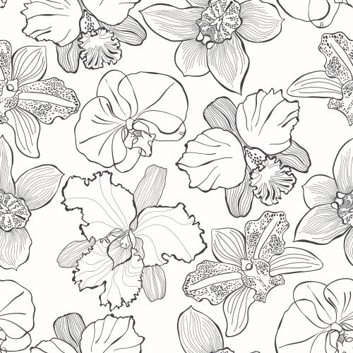 Orchidee. Vektor orchideen verschiedener Sorten, schwarze Konturen auf weißem