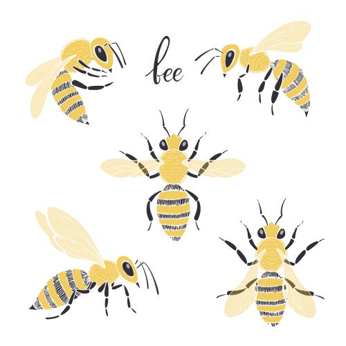 Biene. Vektor Bienen, farbige Silhouetten auf weißem