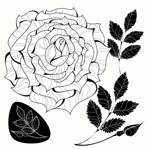 Rose. Vektor dekorative Rosa, rosa Zweig mit Knospe, isolierte Elemente auf weißem