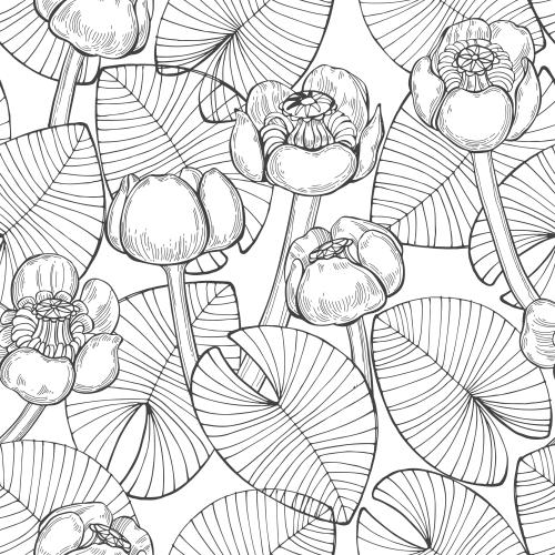Seerose. Vektor monochromen Wasserlilien und Blätter auf weißem