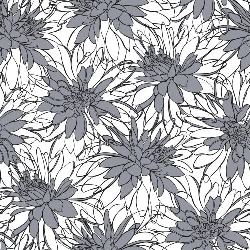 Vektorgrafik rudbeckia auf weißem