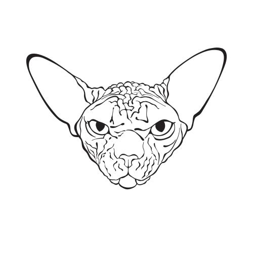 Kanadische sphynx. Vektor kanadischer Sphynx, Gesicht auf weißem
