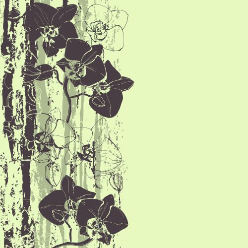 Orchidee. Vektor Orchideen, texturierte Streifen, Platz für Text auf Grün
