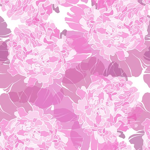 Pfingstrose. Vektor rosa Peonien