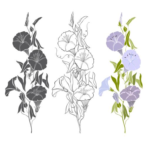 Ackerwinde. Vektor Wandervogel mit Blumen, drei verschiedene Varianten auf weißem