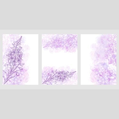 Weidenröschen. Vektor Knöterich, Johanniskraut, drei Karten mit Blumen und rosanfarbenen Aquarell-Fragmenten