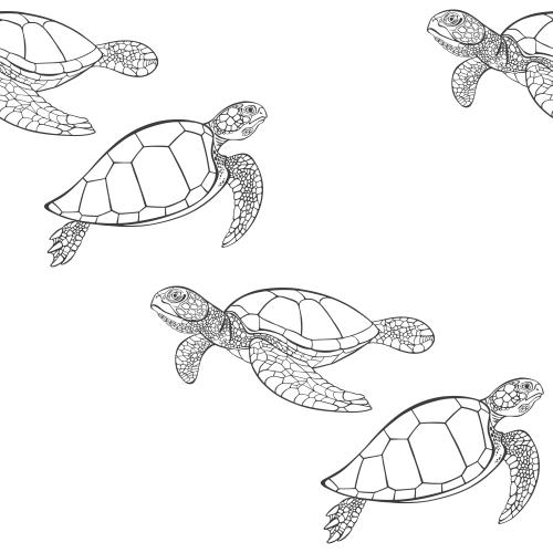 Schildkröte. Vektor schwarze Konturen auf weißem