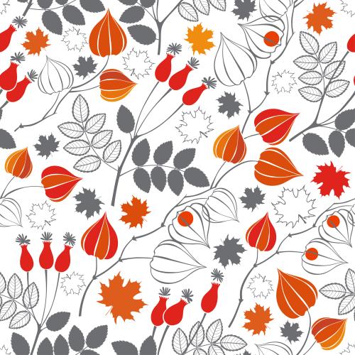Ahornblatt. Vektor Physalis Hagebutte Ahornblätter Silhouetten und Konturen farbige und monochrome auf weiss