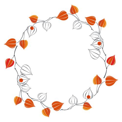 Physalis. Vektor Physalis, runde Rahmen auf weißem