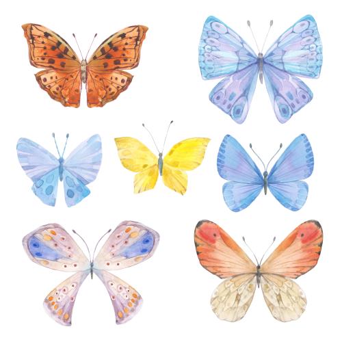 Rasterbild wasserfarben-butterflies, varianten-auf-weissem