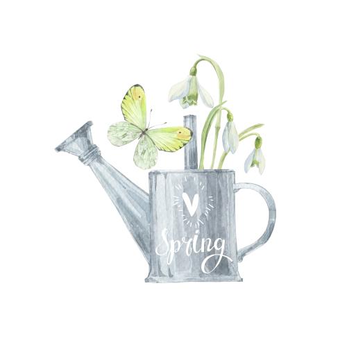 Schneeglöckchen. Vektor Frühjahrskomposition mit einer Schmetterling und Aquarellblumenstrauß aus Schneeglöckchen in einem Gießkanne mit einem Herzen und der Aufschrift spring auf weißem