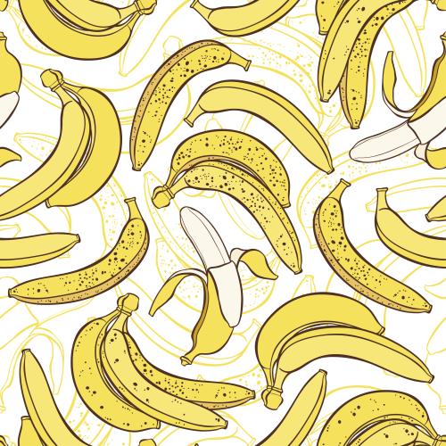 Frucht. Vektor Bananen, Konturen und farbige Silhouetten auf weißem