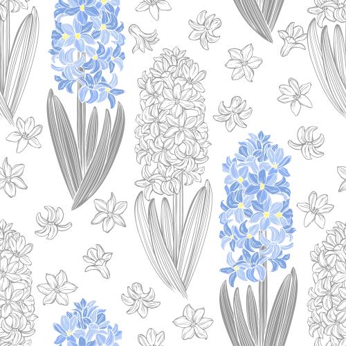 Hyazinthe. Vektor Hyazinthen, farbige und monochrome auf weißem