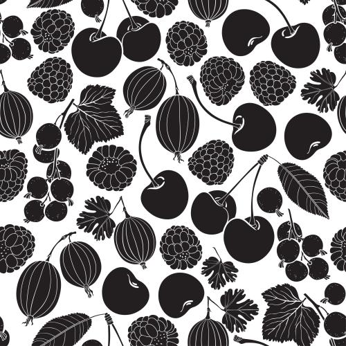 Brombeere. Vektor Kirschen, Kirschen, Johannisbeeren, Himbeeren, Heidelbeeren, Stachelbeeren auf weißem
