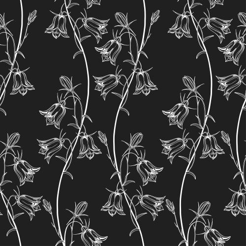 Vektorgrafik kuckucksblumen, weiße konturen der blumen auf schwarzem