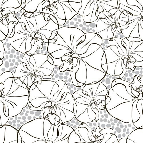 Vektorgrafik orchideen, schwarze konturen, graue dekorative elemente auf weißem