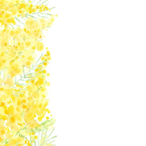 Rasterbild aquarellmimose, platz für text auf weißem