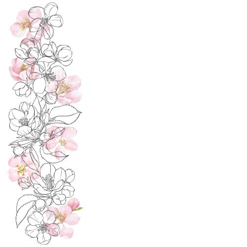 Apfelbaum. Vektor aquarellblumen und Apfelbaumblätter, Konturen, Platz für Text auf weißem