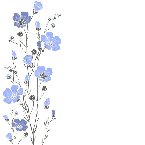 Lein. Vektor Flachsblüten Textbereich auf weißem