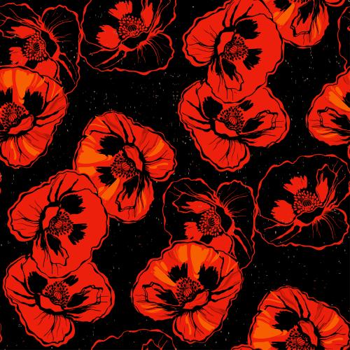 Mohn. Vektor Mohn auf schwarzem