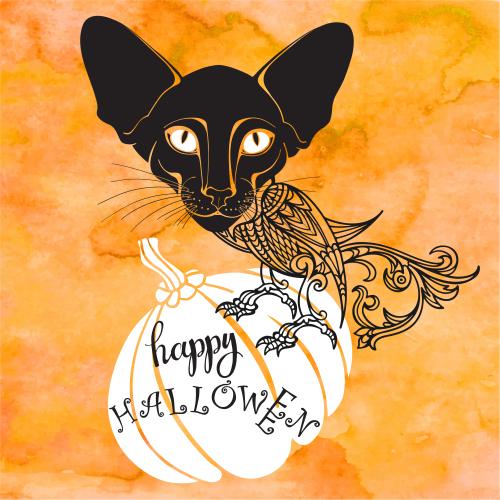 Vektorgrafik fantasietier mit katzenkopf und vogelkörper sitzend auf einer kürbis mit der aufschrift happy halloween auf einem orangenen aquarell