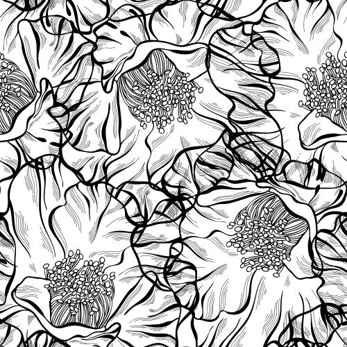 Mohn. Vektor konturmonochromblumen mit Staubfäden auf weißem