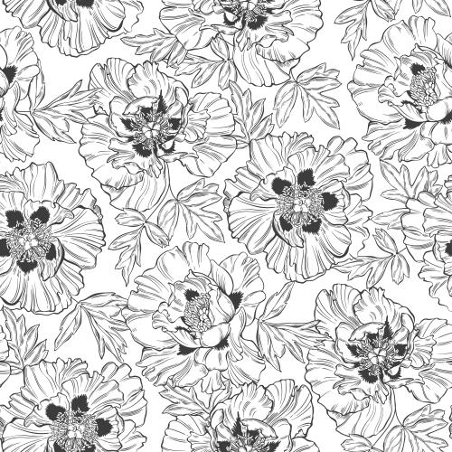 Vektorgrafik pionen konturen der blumen und blaetter auf weissm