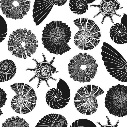 Seeigel. Vektor Nautili, Seeigel, schwarze Silhouetten auf weißem
