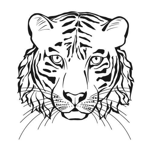 Tiger. Vektor Kopf des Tigers auf weißem