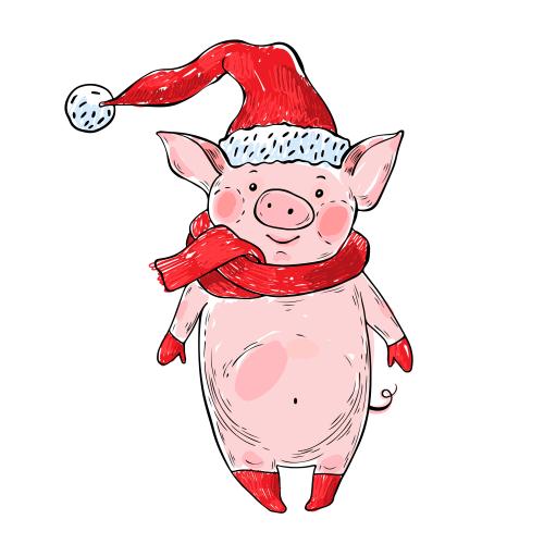 Vektorgrafik cartoonartiges-schweinchen-in-neujahrshut-schal-handschuhen-und-socken-auf-weissem