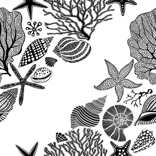 Vektorgrafik meersterne, muscheln, nautilus, korallen, algen auf weißem