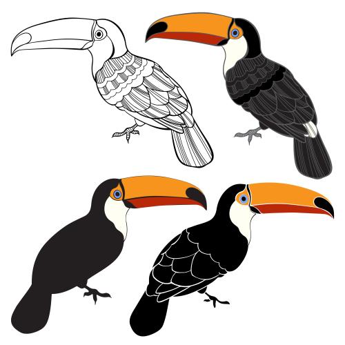 Tukan. Vektor Toucans auf weißem, vier verschiedene Varianten