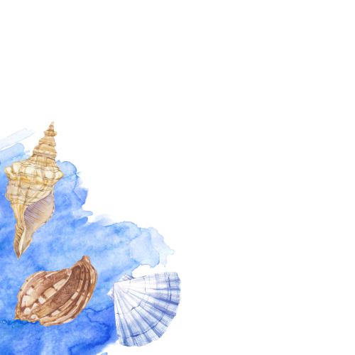Rasterbild aquarellmuscheln, blauer aquarellfragment, platz für text auf weißem