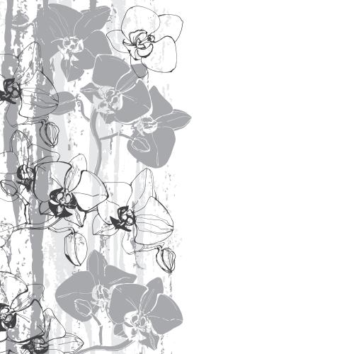 Orchidee. Vektor Orchideen, mono-chromatische texturierte Streifen, Platz für Text auf weißem