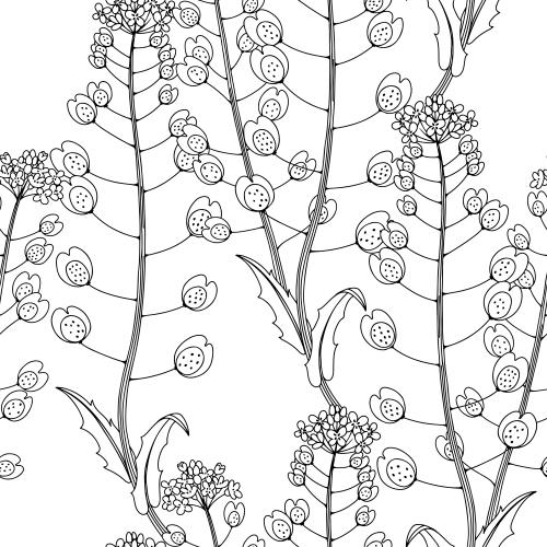 Vektorgrafik konturen von wiesenblumen auf weißem