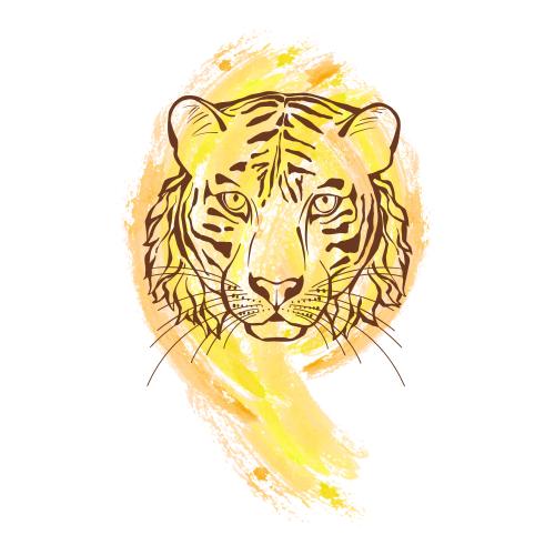 Tiger. Vektor tiger Aquarellfragment auf weißem